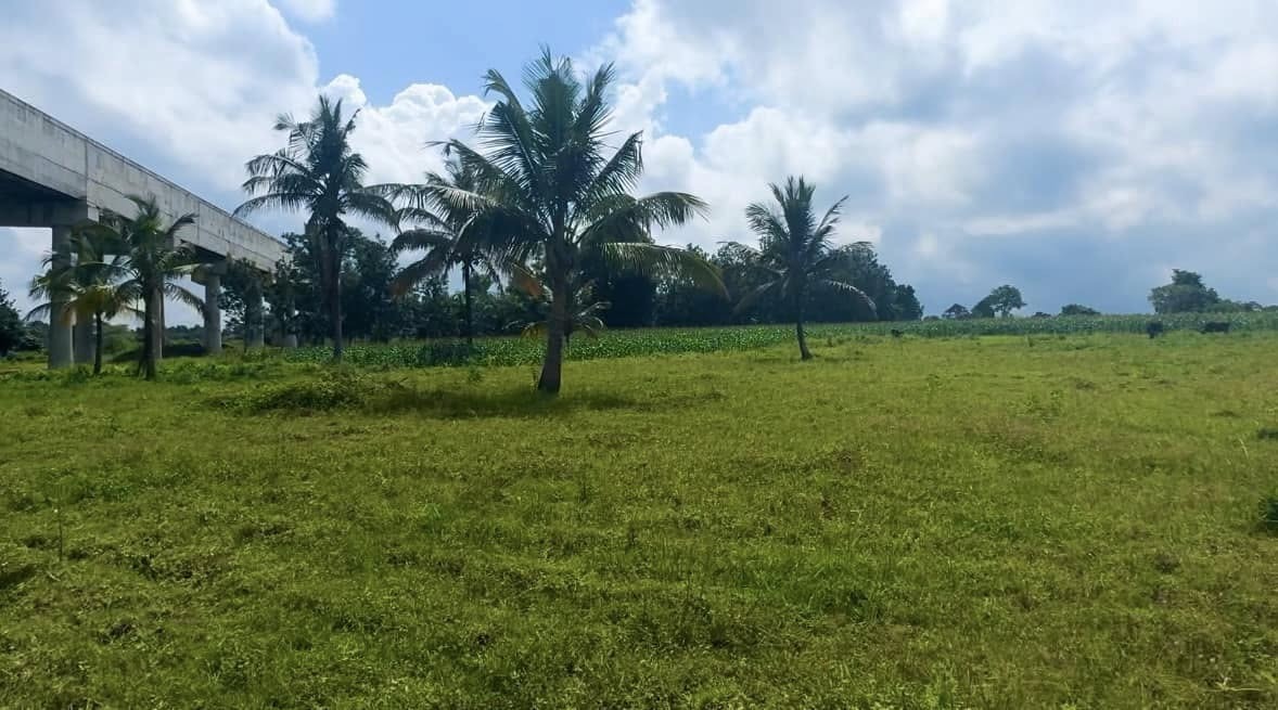 4.5 Acres Agricultural Land in Belur, karnataka