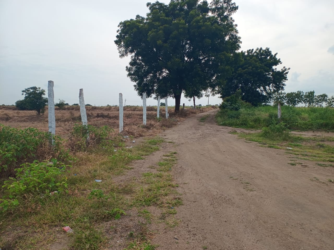 Open Land for sale near chevella, kandwada village