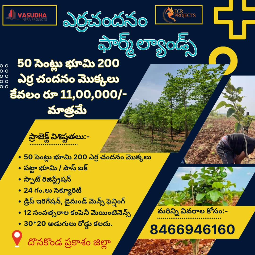 Red sandal farm land Plots for sale at donakonda prakasam