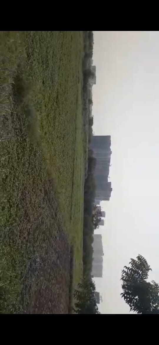 20 Acres Land For Sale In Tellapur Sangareddy