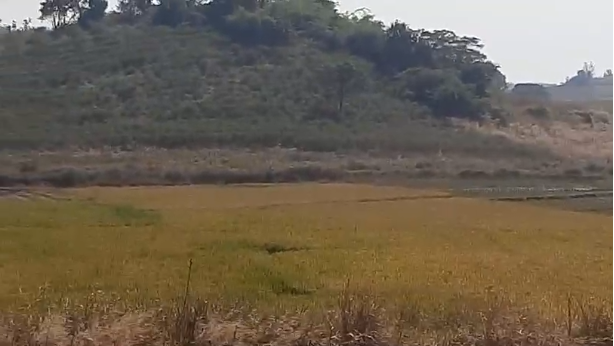 750 acres land for sale in Badami Karnataka
