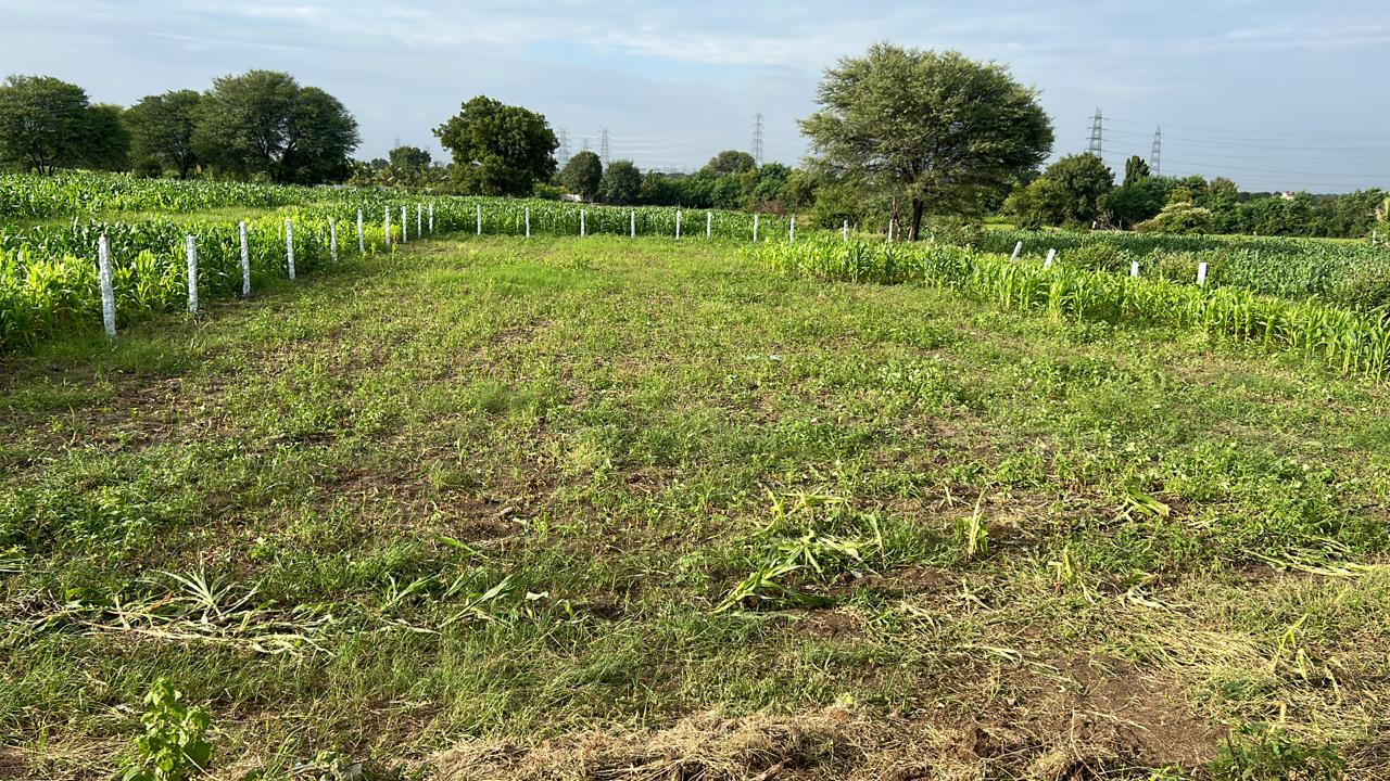 10 Guntas Road facing Open land for sale in Nakkalapally village near  moinabad