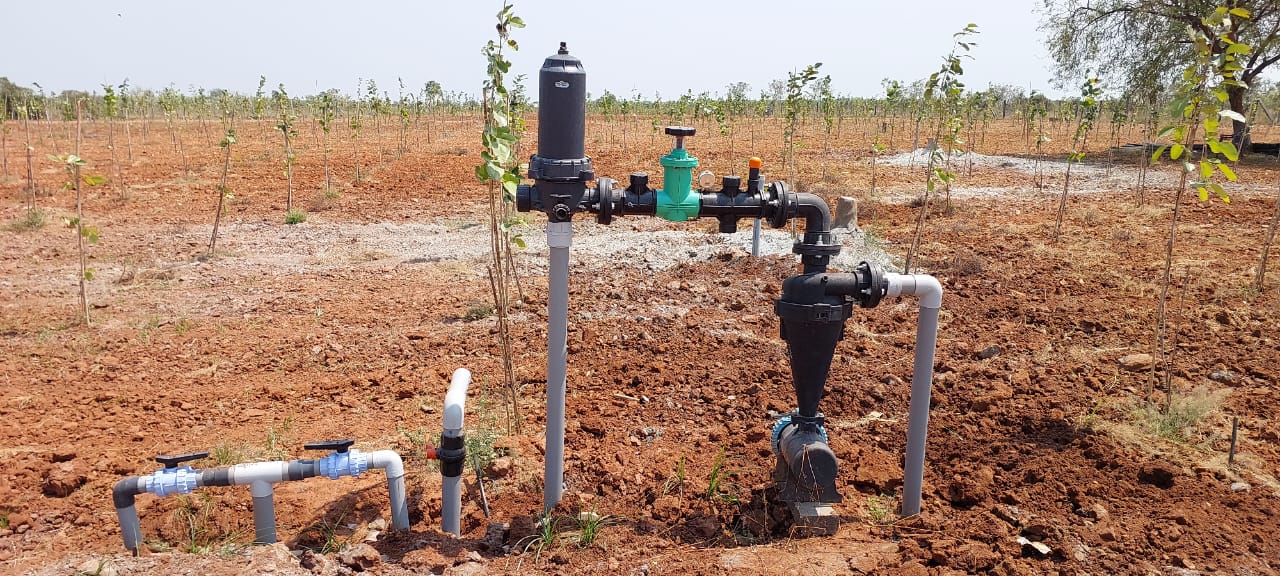 Invest in red sandalwood land at Kambhampadu near Vinukonda