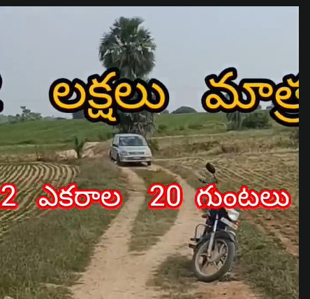 2.5 Acres Agricultural Land For Sale At Jogulamba  Gadwal