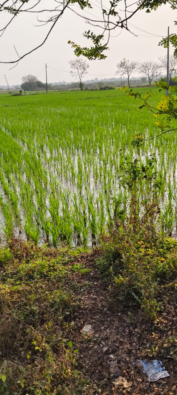 Stunning roadside Agricultural land at best Price at Sangareddy district.
