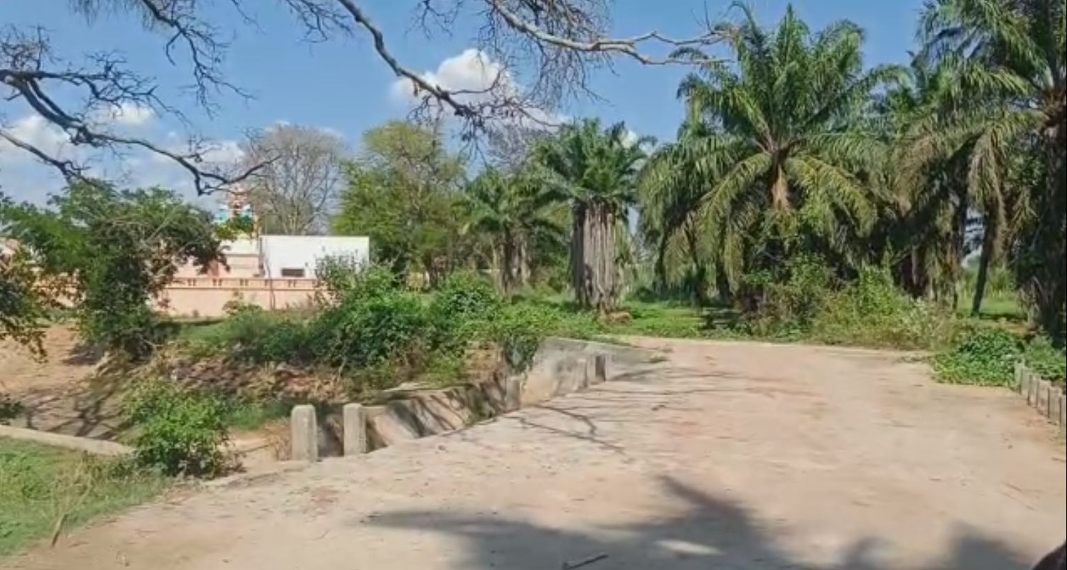 6 Acers Land for sale in Mysore