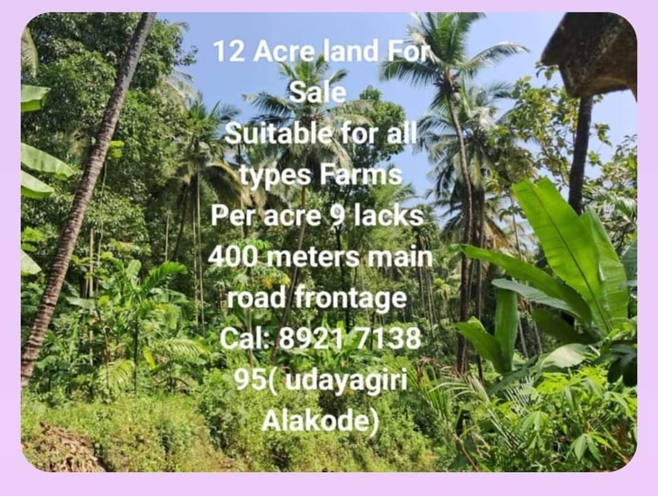 12 Acre Land for Sale in Udayagiri, Alakode, Kerala