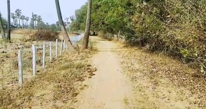 1 Acre 23 Guntas
Agriculture land for sale
