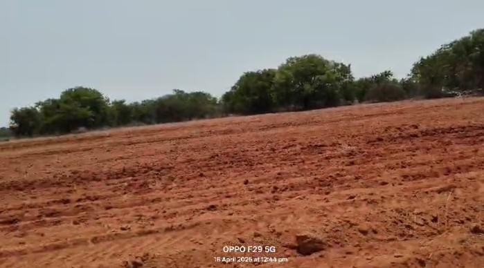 9.20 Acres Agricultural Land for sale in Bachannapet Jangaon