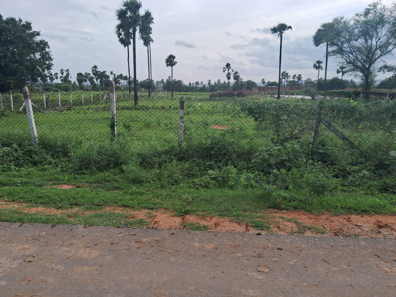 1 Acre Agricultural Land For Sale In Tanged Pally Chotuppal
