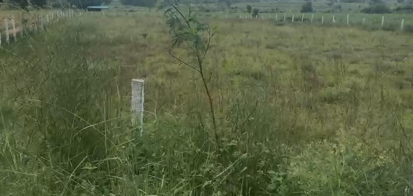 25 Guntas Land For Sale in Amangal Ranga Reddy