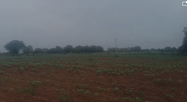 Agricultural Land For Sale In Maddur Siddepet