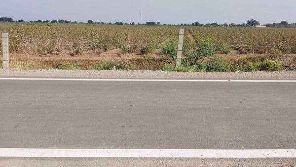 Agricultural Land for Sale in Hirana , Taluka Lathi, Amreli