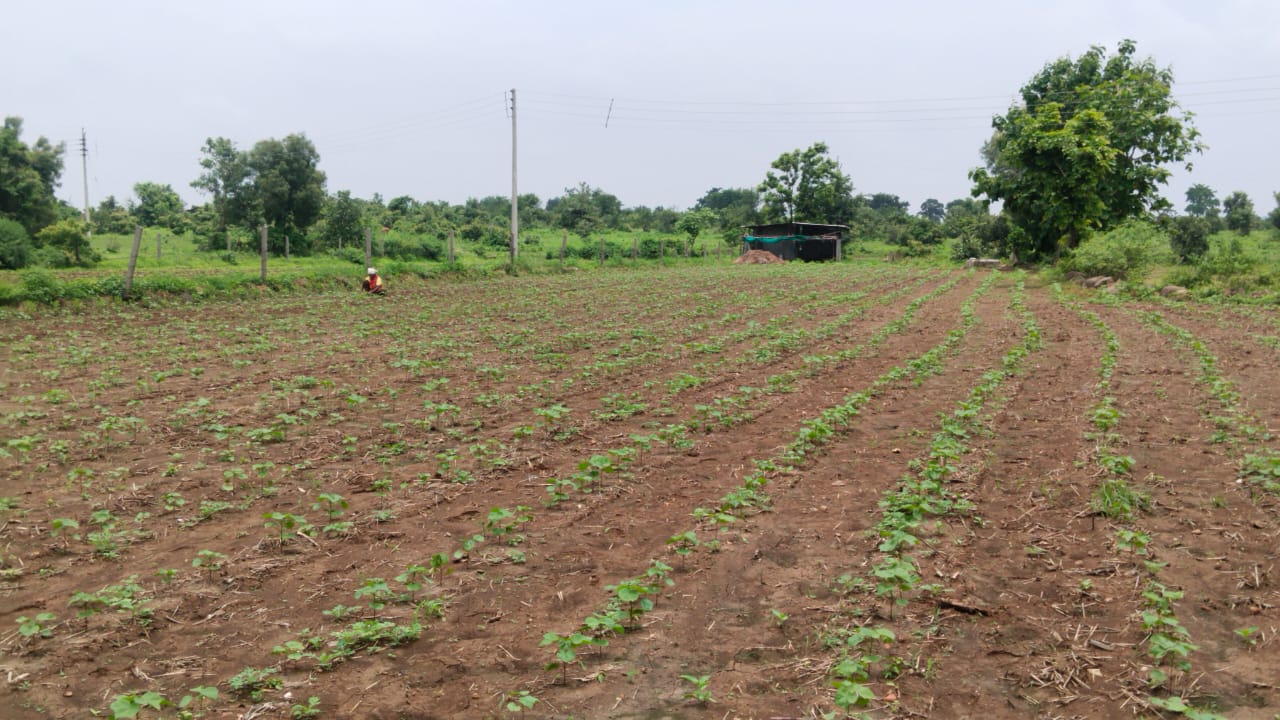 4.75 acres agriculture land for sale 23 lake per acre in Hirantal, Metpanjra 