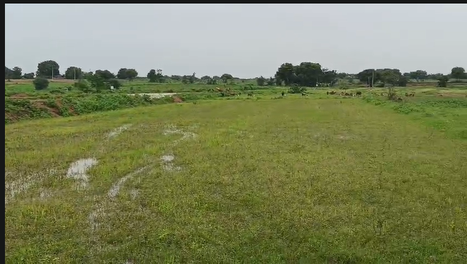 11 Acres Prime Agricultural And Commercial Land For Sale In Lemoore Ranga Reddy