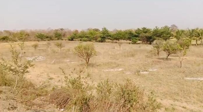 42 acers land at Hingna , Nagpur