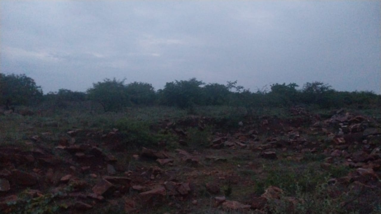 1050 acres land for sale in Bk Halli  Karnataka