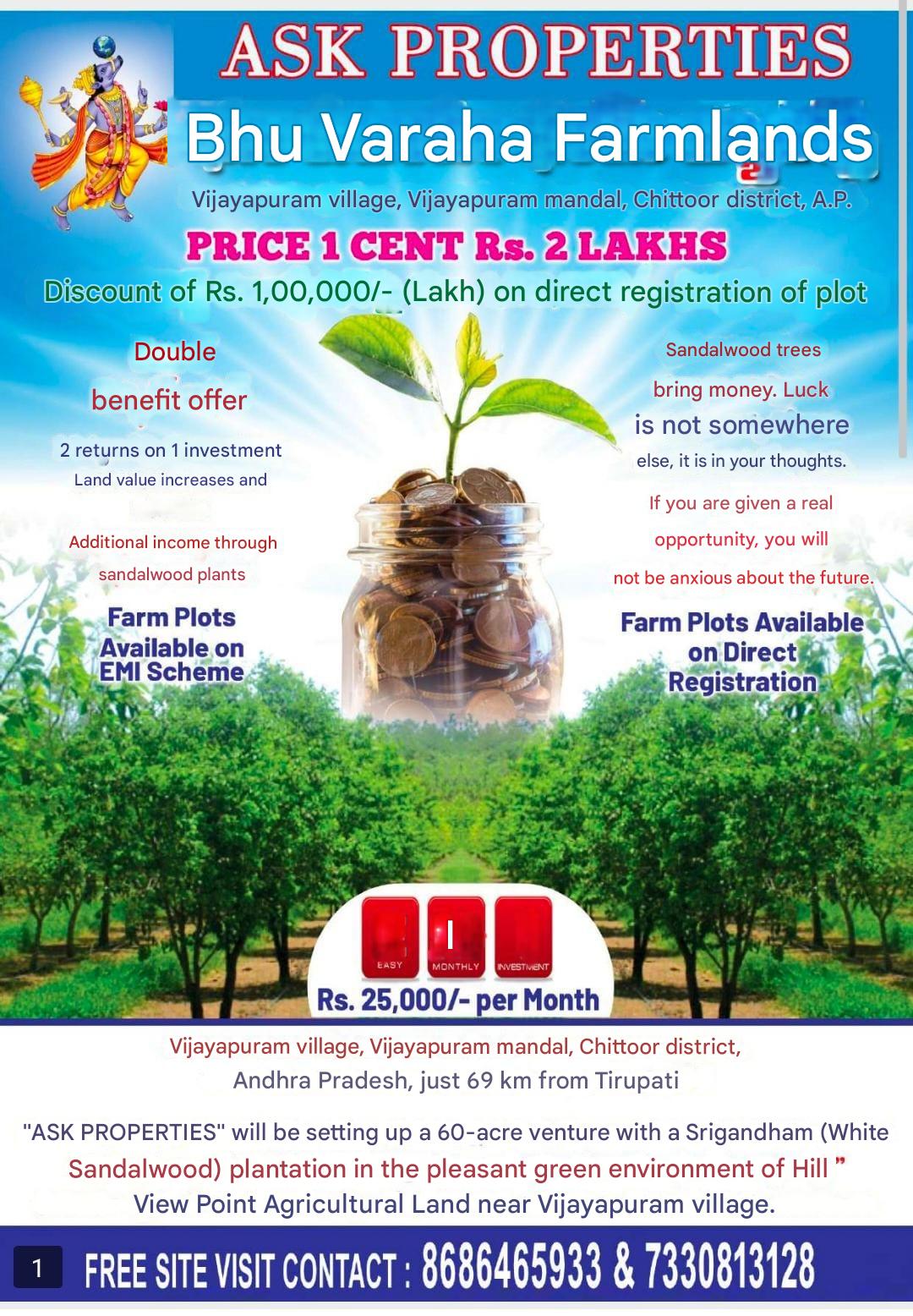 Farm Plots For Sale In Vijayapuram  Chittoor