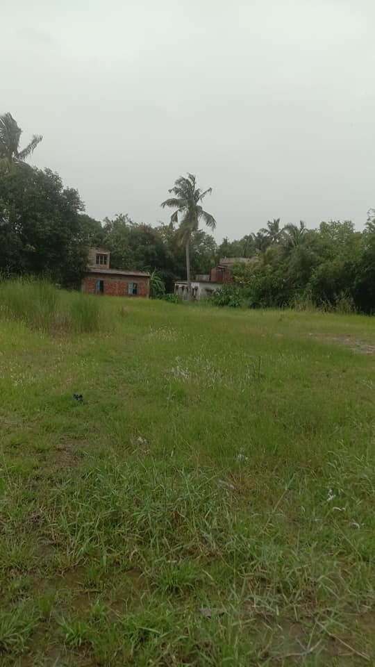 Farmland for Sale Near Amtala Town: 5 to 50 Katha