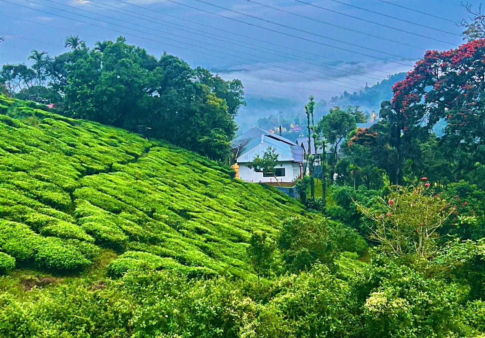 7,000 Sq. Ft. Resort with Stunning Valley Views For Sale in  Munnar
