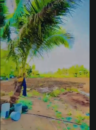1 Acre 13 Guntas Developed Farm Land For Sale At  Wargal 