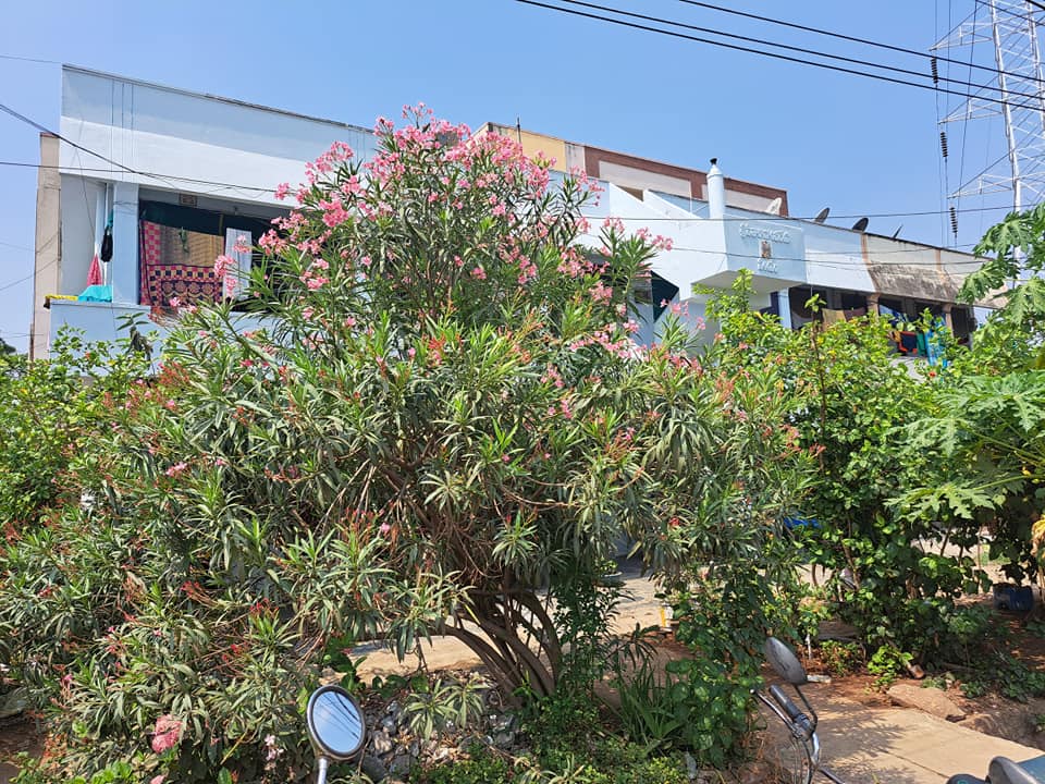 Commercial individual house for sale in Vijayawada