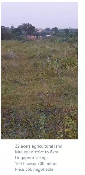 32 Acres Agricultural Land for Sale in Lingapoor, Mulugu 
