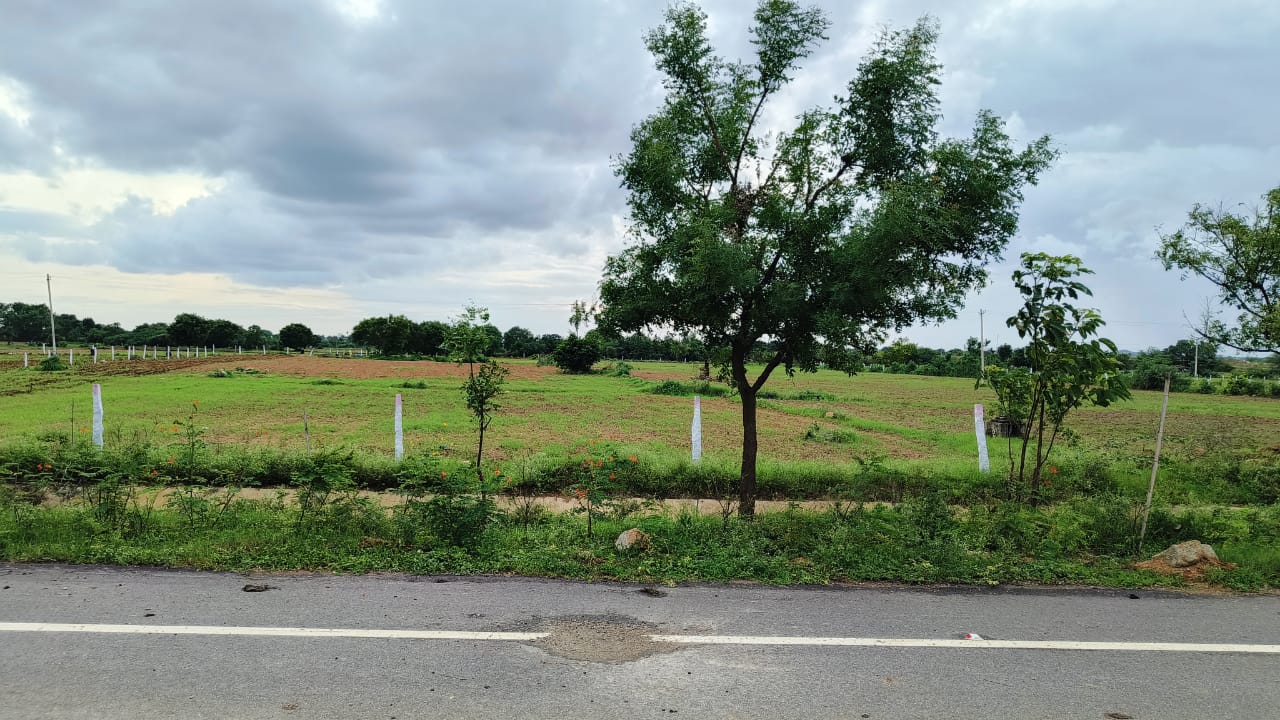 Farmhouse  for sale
Hyderabad-karimnagar rajiv rahadari highway to 1.5klmrs
Mulugu near shamirpet