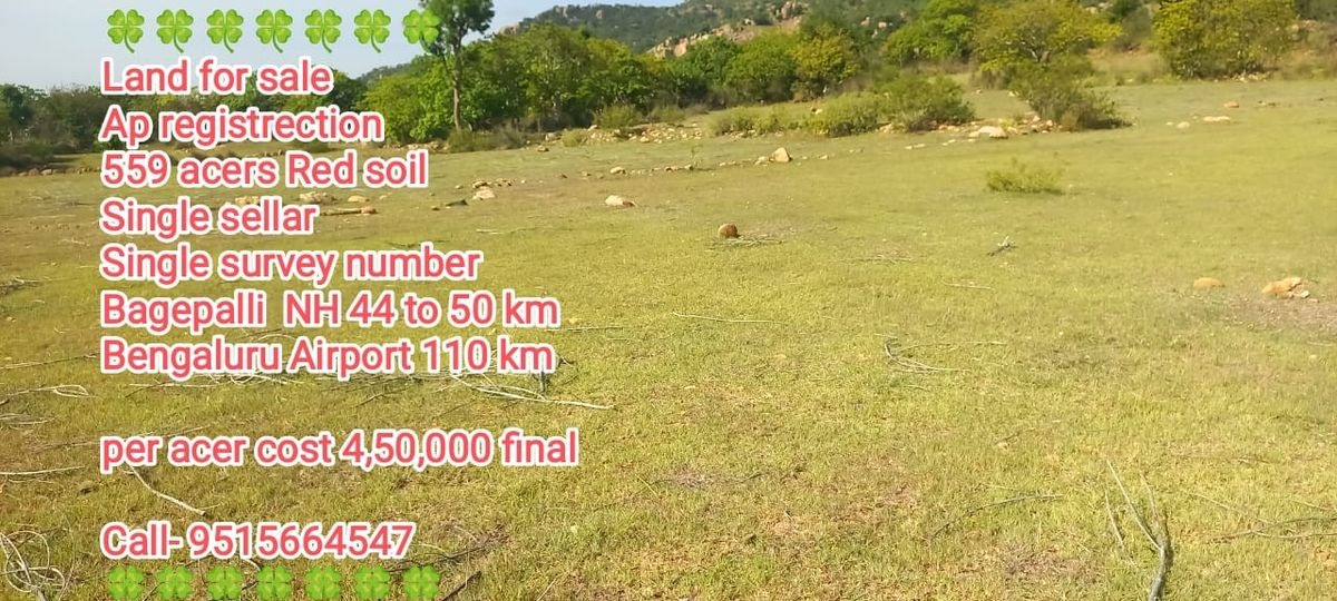 559 Acres of Land for Sale in Bagepalli