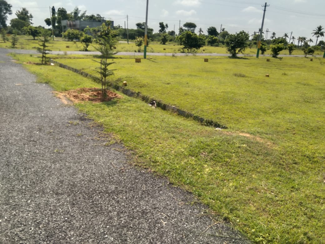 1200 sqft residential plots at Gauribidanur