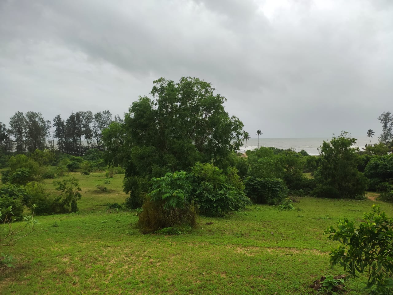 Prime 9-Acre Beachfront Property for Sale – 36,000 Sq. Meters Vengurla