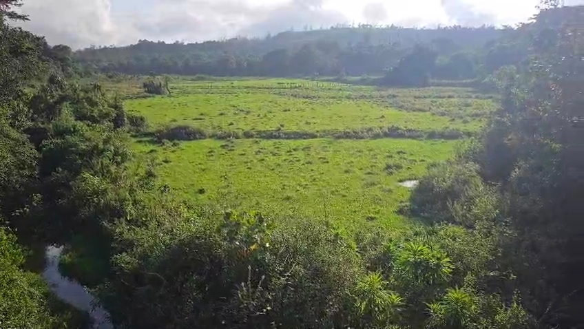 2acre agriculture land for sale in Mudigere Chikmagalur dist 
