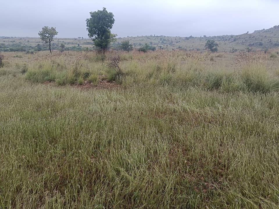 Prime Land for Sale on Bagepali Road, Kolar , Karnataka
