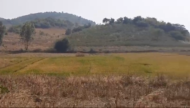 150 acres land for sale in Haveri Karnataka