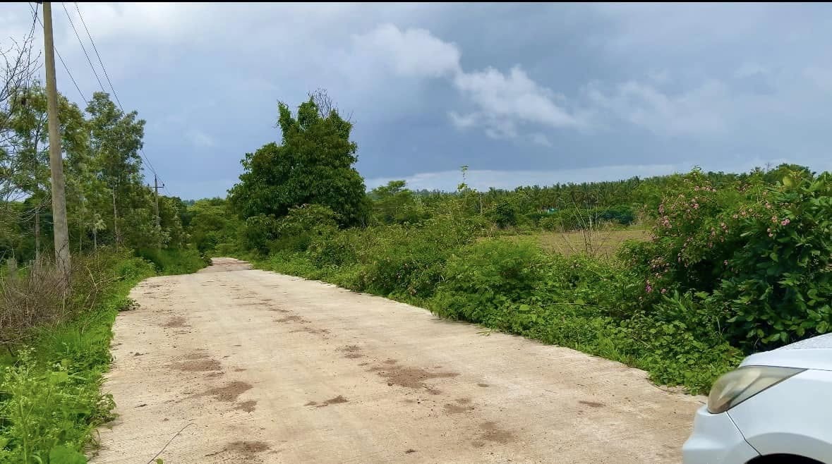 2 Acre 10 Gunta Land For Sale Near Alur Taluk, Hassan, Karnataka