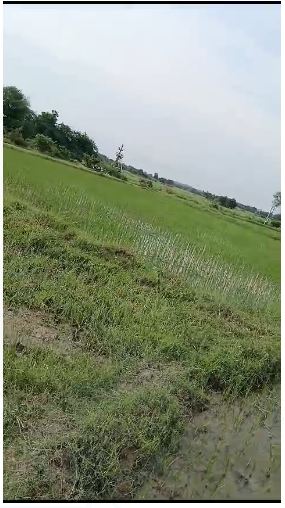 3 Acres Land for Sale at Jagaon, Akkapet, Siddipet