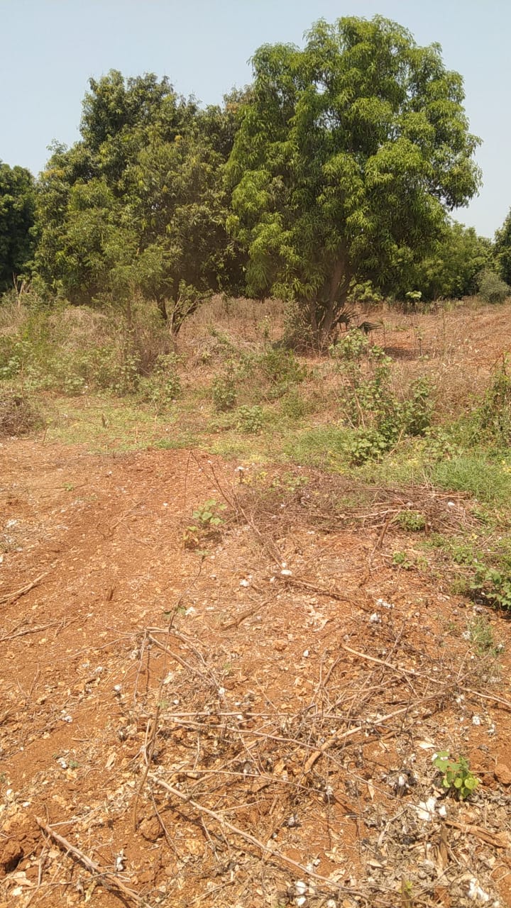 850 Sq. Yards Land For Sale in  Vejendla Guntur