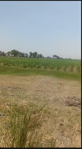 4 Acres Agricultural Land For Sale At Narva Narayanpet