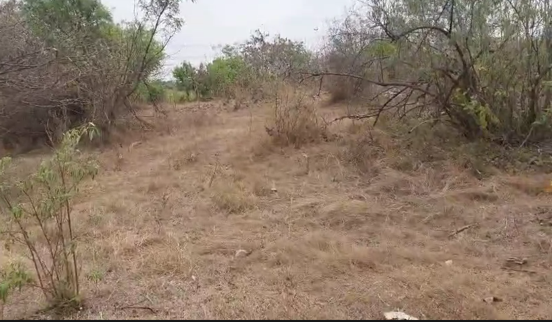 4.20 Acres Agricultural Land For Sale In  Maddur Siddipet