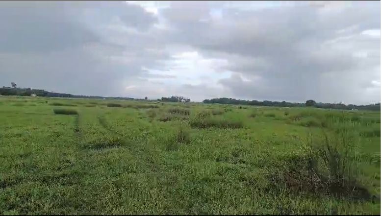 Industrial land  for sale on NH-60 - Balasore Highway