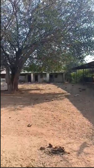 25 Acres Land For Sale At Guduru kandukur