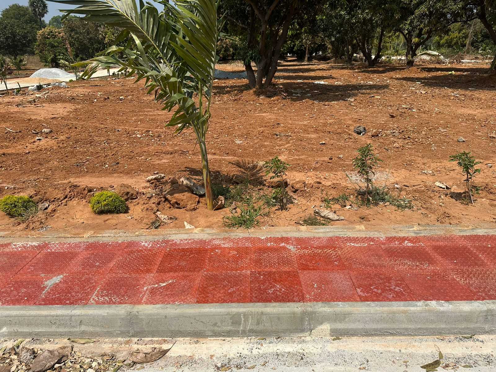 Srinivasa Gardens at  200 ft Tirupati to Pileru Road Near Srinivasa  Mangapuram