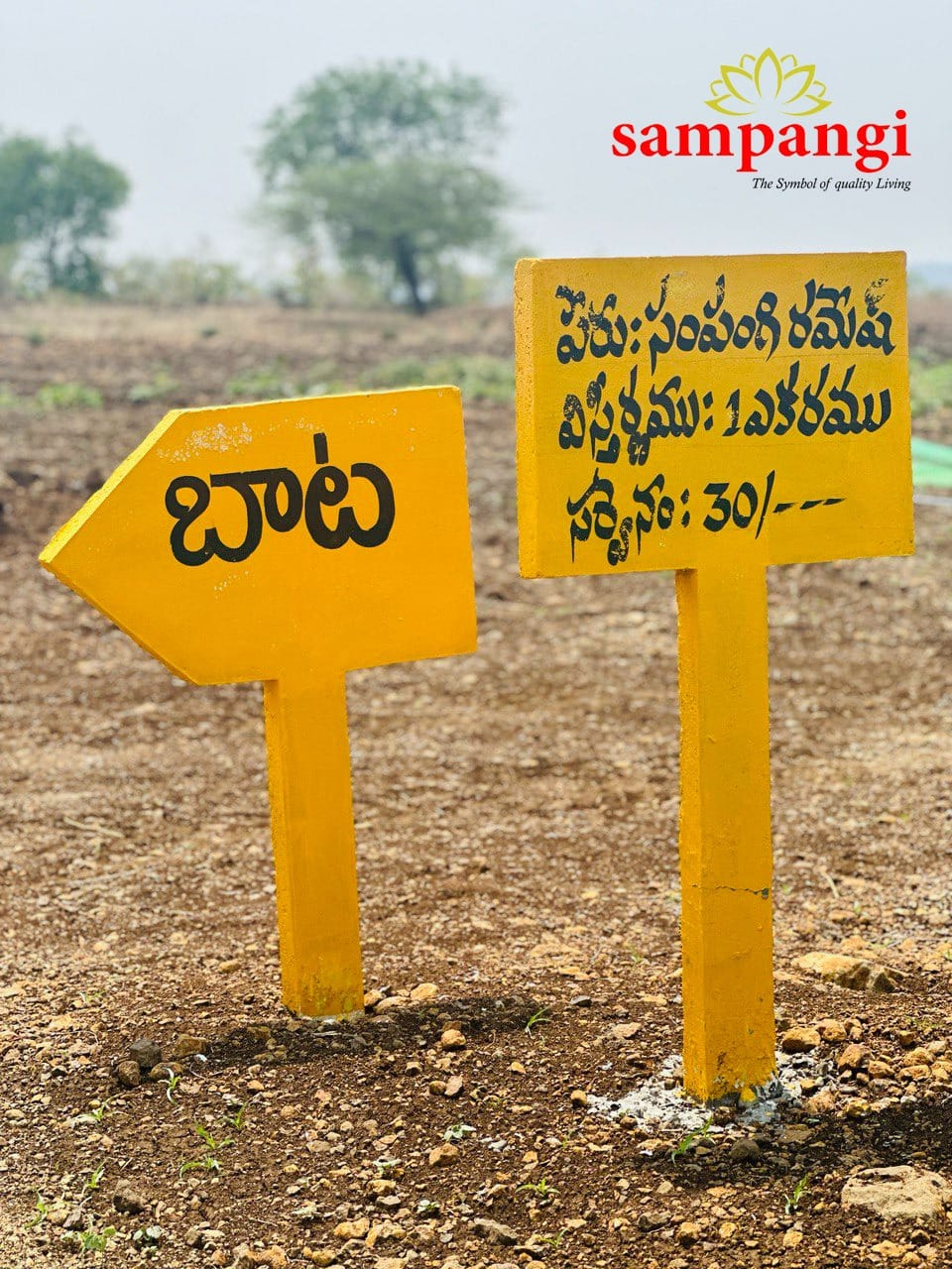 Palm Development Farmland Plots For Sale In Wasar Narayankhed