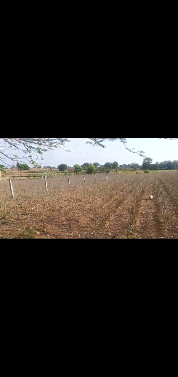 Agriculture land for sale at Jagadevpur , Siddipet