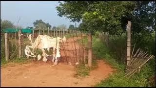6ACRES LAND FOR SALE AT SHAMIRPET 