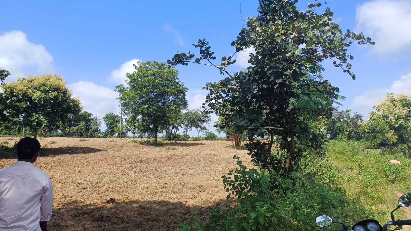 3 Acres of Land for Sale near Vikarabad