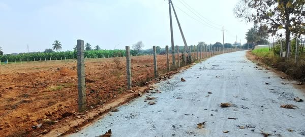 20 Gunta Super Farm land for sale  Kolar-Srinivasapura Road