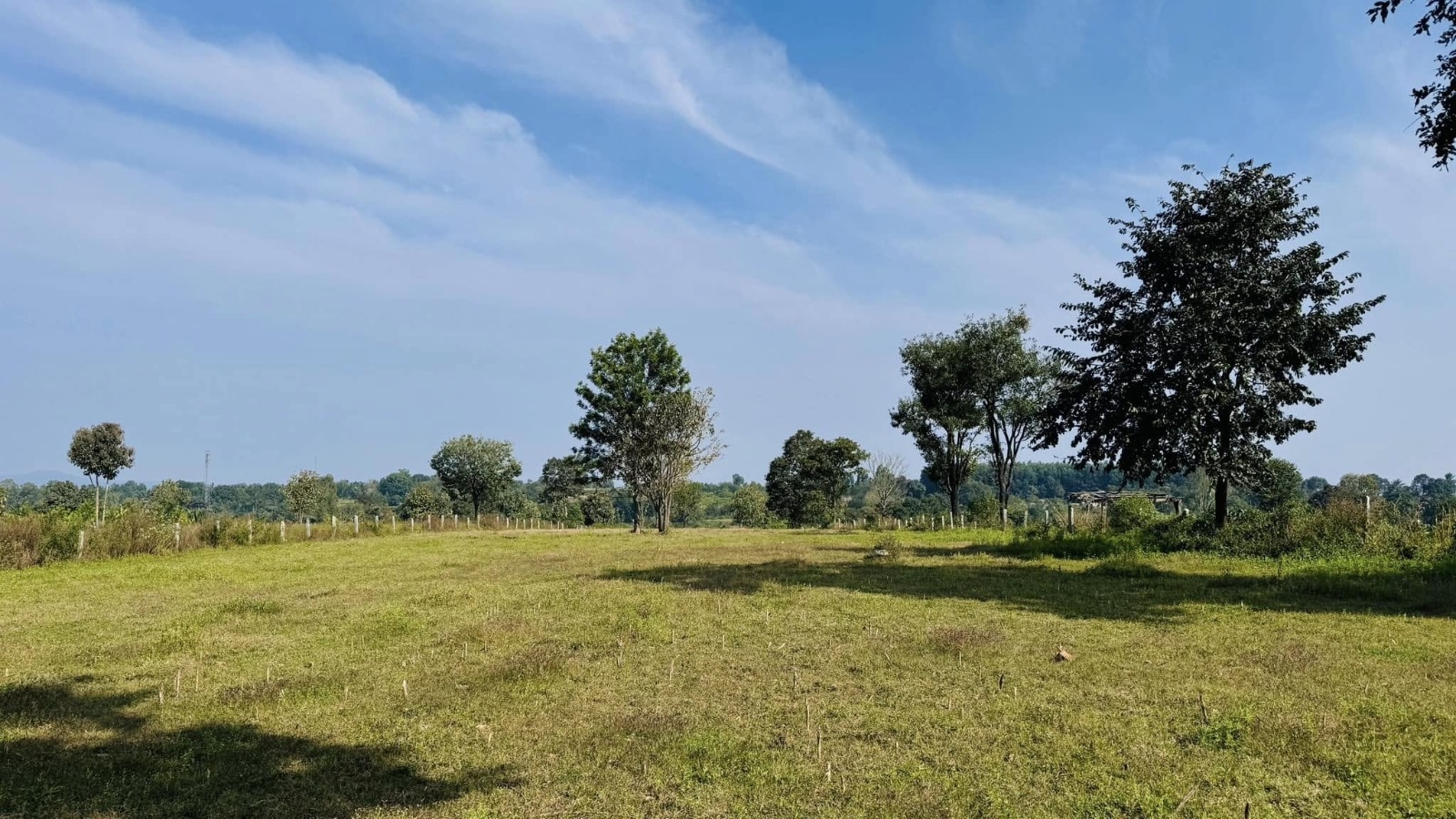 2 Acre 30 Gunta Land For Sale in Hassan, Karnataka