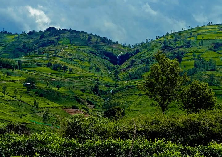 Commercial Property For Sale In Ooty Tamil Nadu