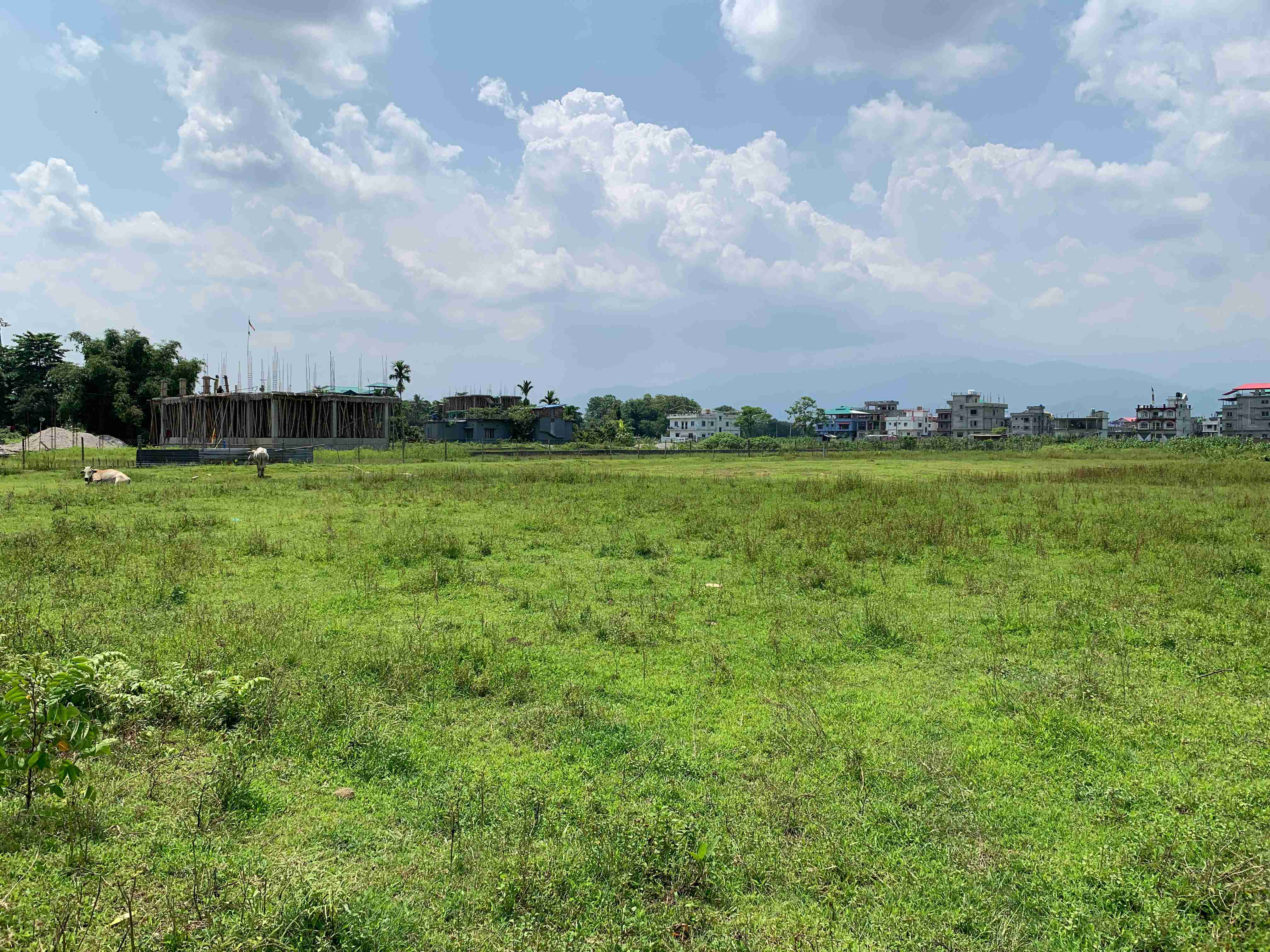 Land for sale in Salbari Haat Bazar